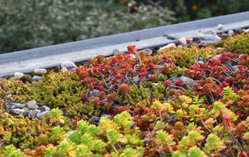 the cost of Avoncliff green roof installation