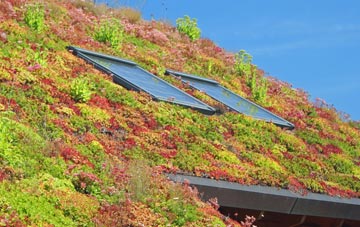 Avoncliff living roof systems