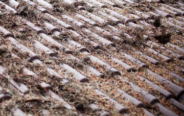 Avoncliff roof cleaning companies