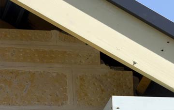 soffit repair Avoncliff